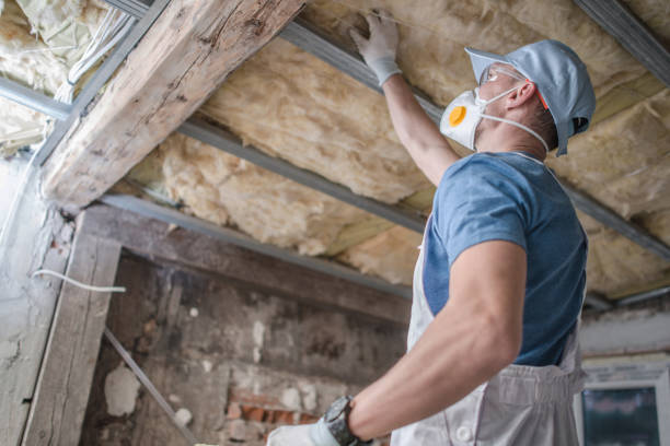 Best Eco-Friendly Insulation in Mineola, TX