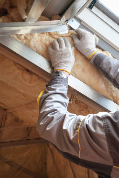 Best Commercial Insulation in Mineola, TX