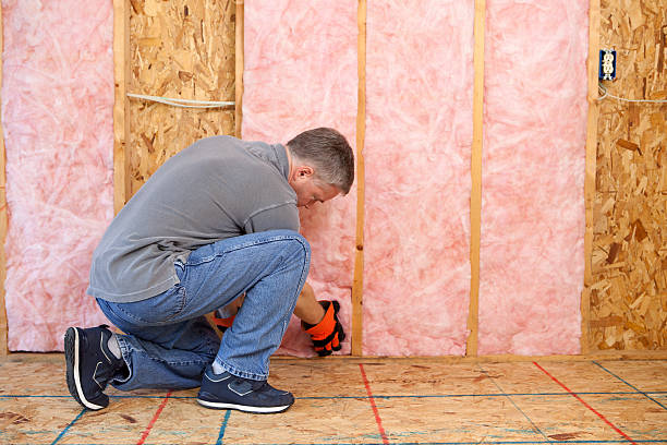 Best Specialized Insulation Services in Mineola, TX