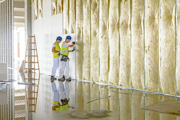 Trusted Mineola, TX Insulation Contractor Experts